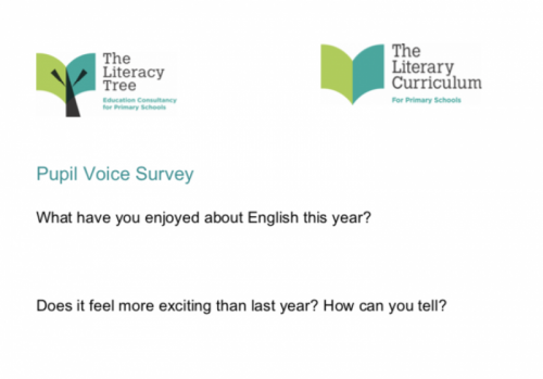 Pupil Voice Survey