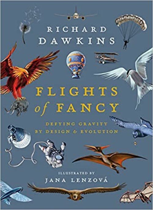 January Literature Review